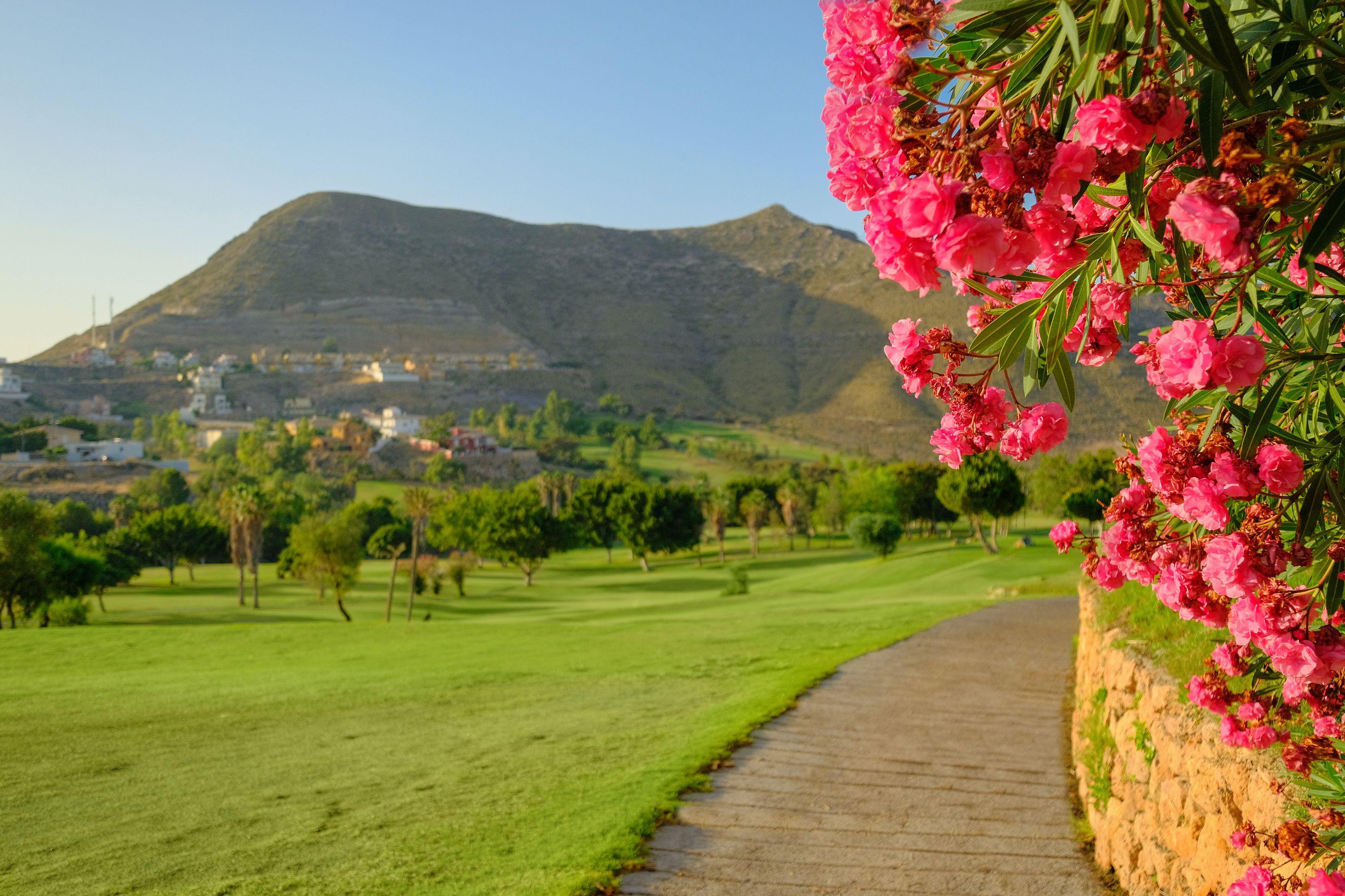 Hotel Envia Almeria Spa & Golf Aguadulce  Exterior photo View of the Sierra de Callosa